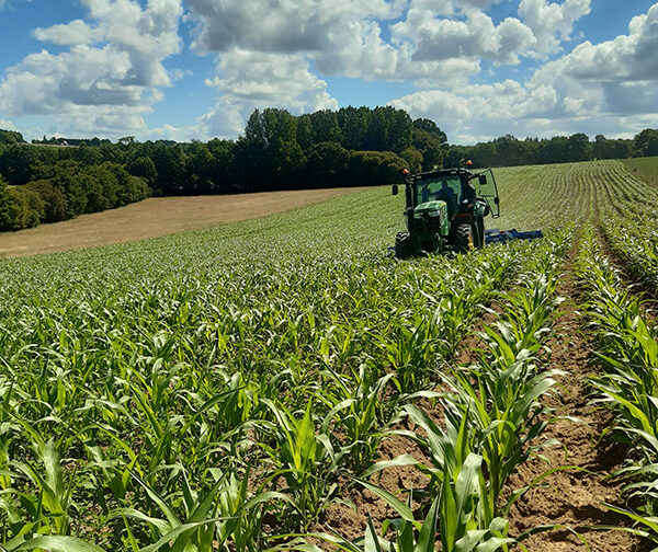 Desherbage Mecanique Sur Une Parcelle Agricoles