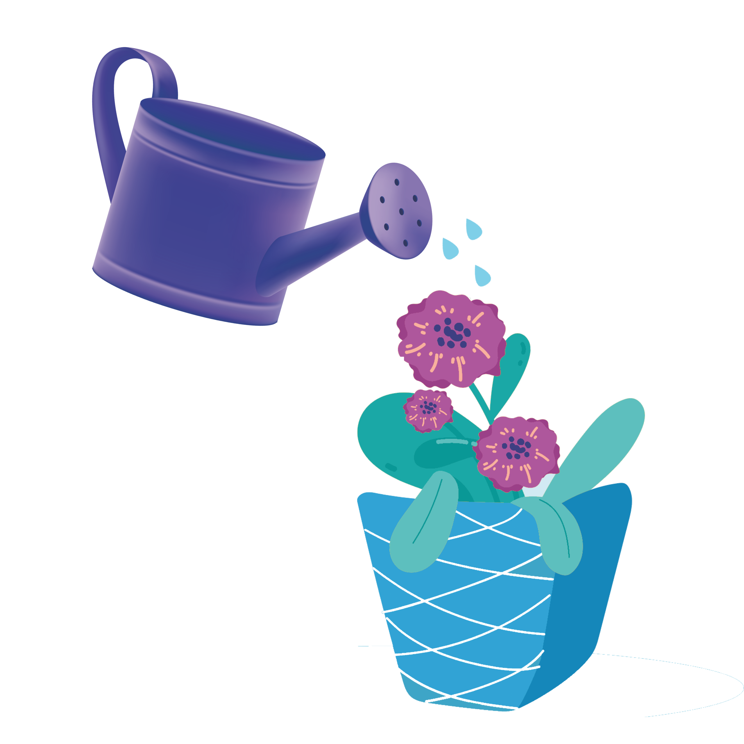 Arroser Plante