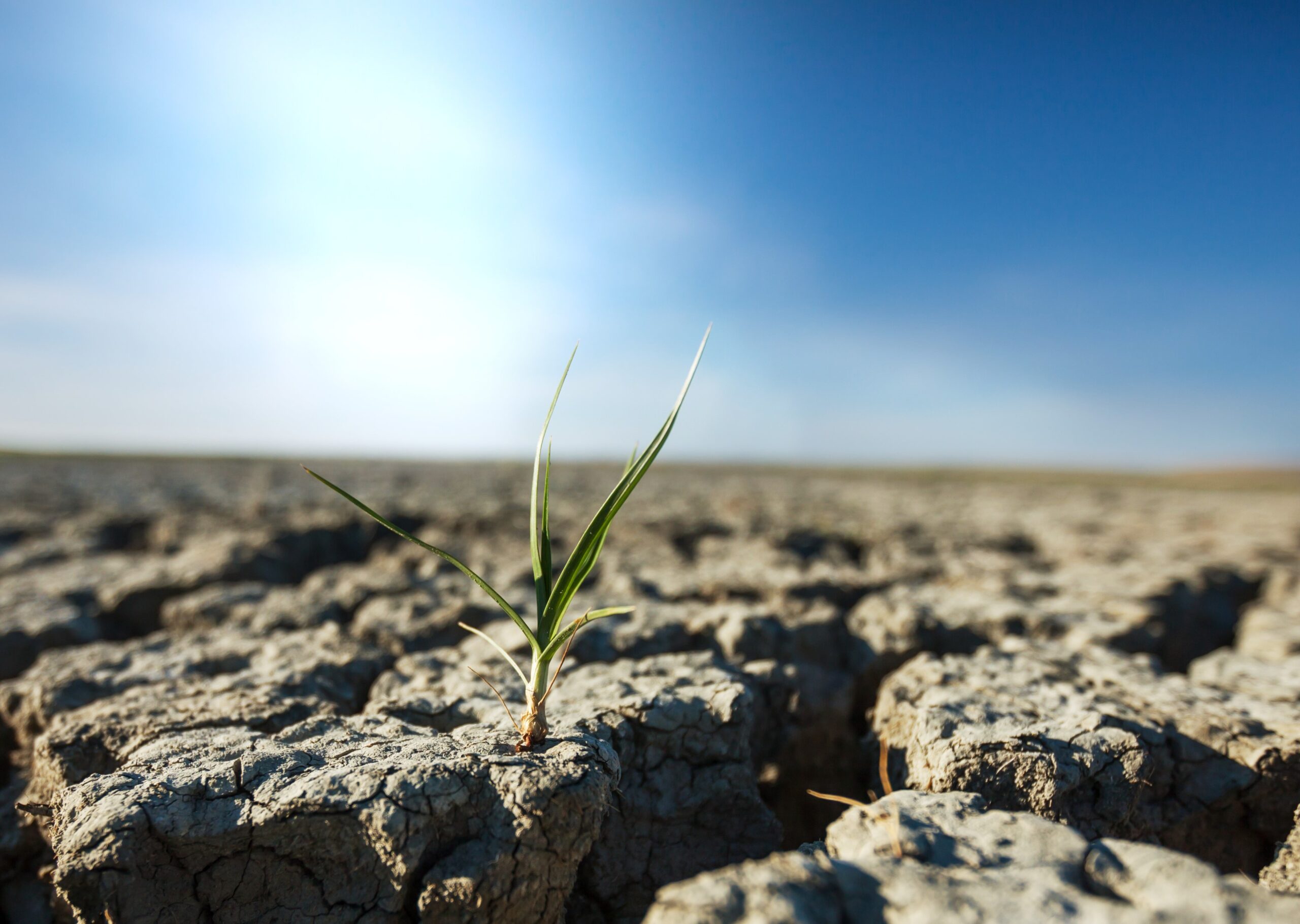 Drought